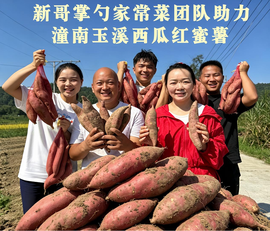 图片4