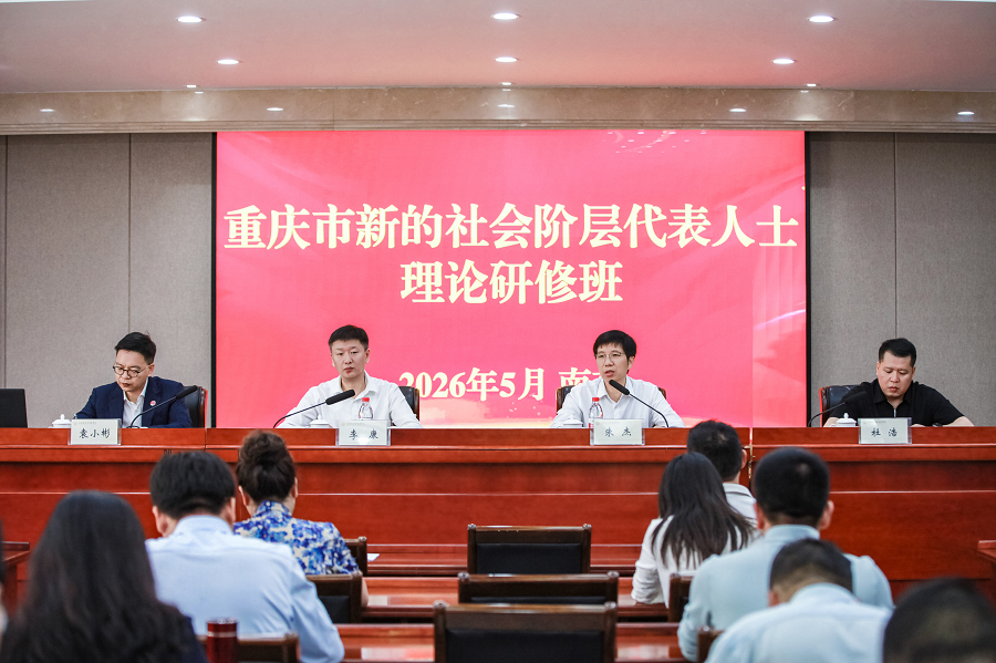 图片3