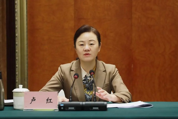 渝东北片区统战工作座谈会在云阳召开 卢红出席会议并讲话_重庆统一战线