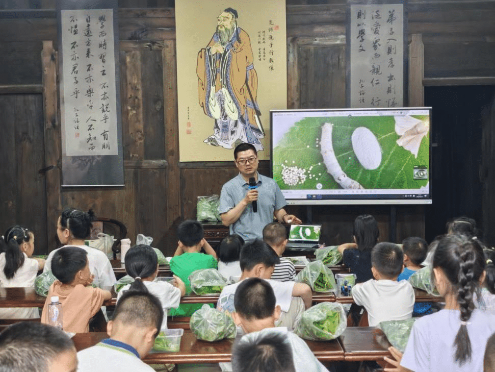 图片3