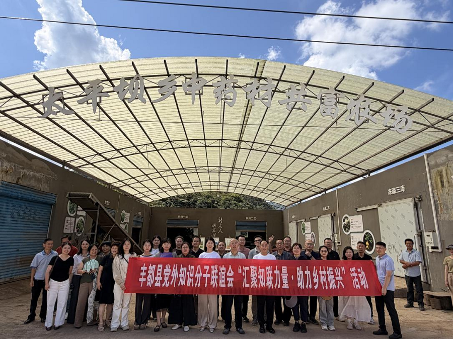 图片11