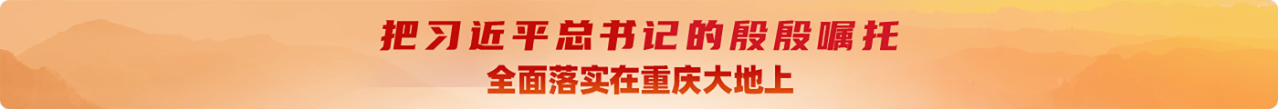 把习近平总书记的殷殷嘱托全面落实在重庆大地上